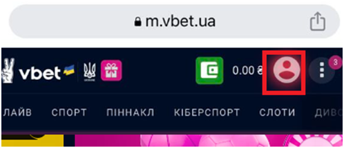 кнопка профиля в мобильной версии сайта Вбет
